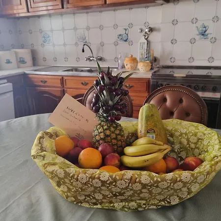 Вилла Don Sidonio Alojamentos